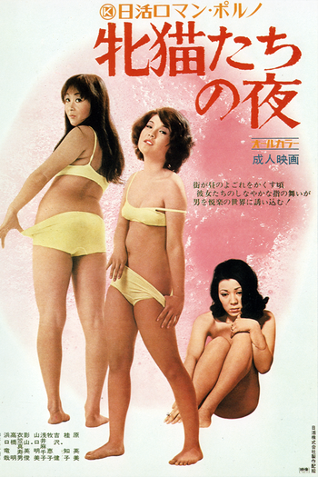  de Filme A Noite das Felinas (1972)