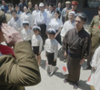 （１３）「１９４２－１９４３」