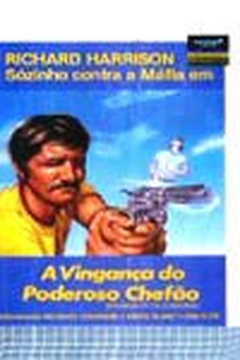 Poster de Filme A Vingança do Poderoso Chefão (1972)
