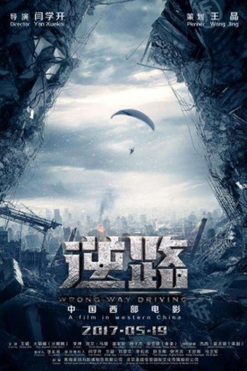 Poster de Filme Wrong Way Driving (2017)