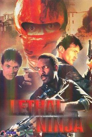 Poster 1 de Filme Ninja Justiceiro (1993)