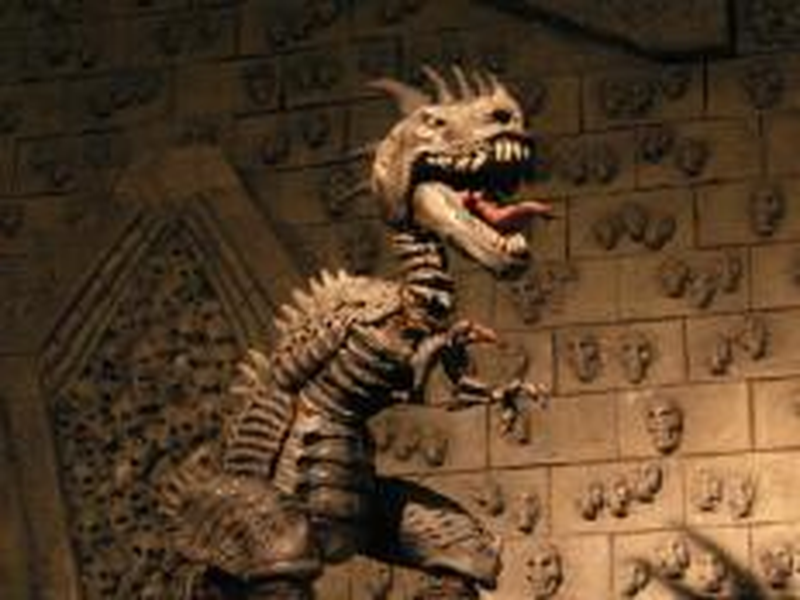 Foto 2 de Transrexia