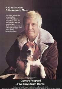 Um Natal em Família (Five Days from Home)