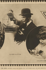 O Lírio e a Rosa (The Lily and the Rose)