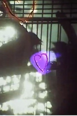 The Canaries (The Canaries)