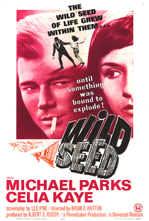 Wild Seed - Poster / Capa / Cartaz - Oficial 1