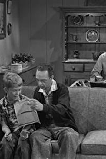 Poster de Episódio Opie's Fortune (1964)