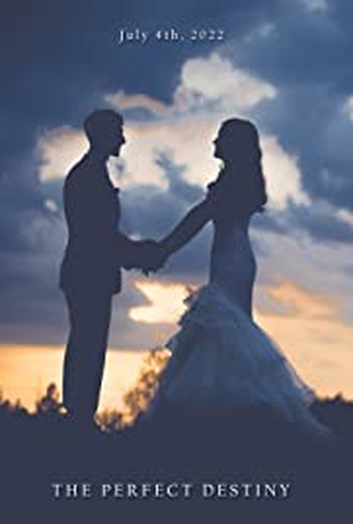 Poster 1 de Filme The Perfect Destiny (2025)
