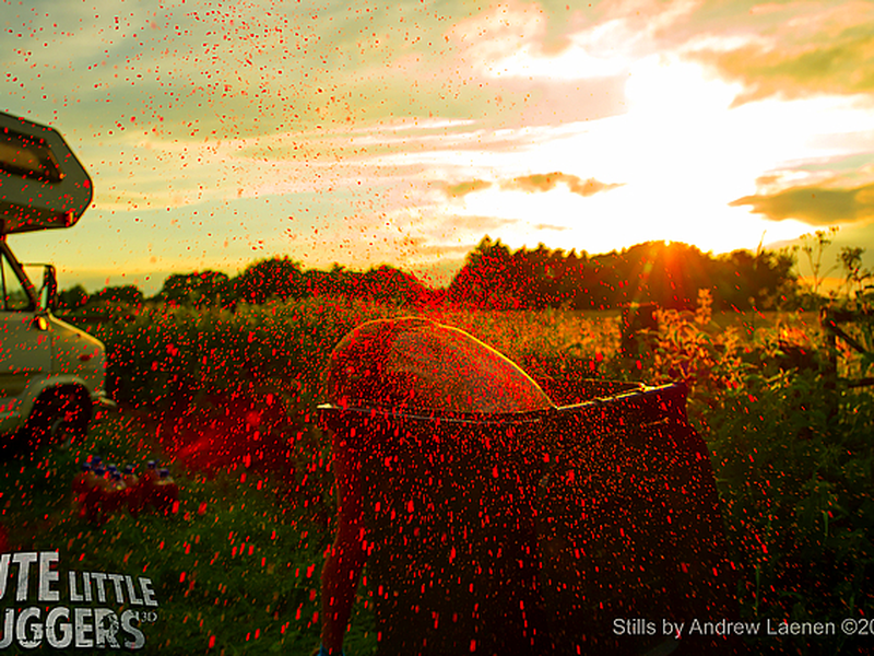 Foto 1 de Cute Little Buggers