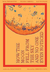 How the Moon Fell from the Sky and No One Even Noticed (How the Moon Fell from the Sky and No One Even Noticed)