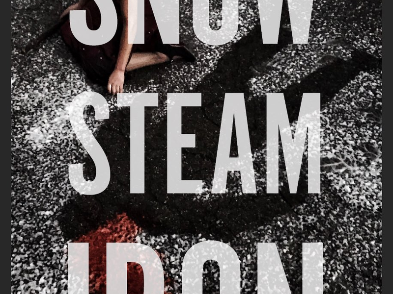 Foto 1 de Snow Steam Iron