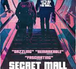 Secret Mall Apartment