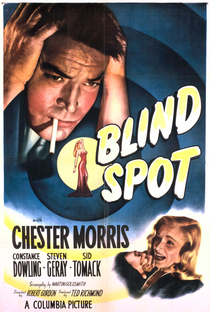 Blind Spot - Poster / Capa / Cartaz - Oficial 1