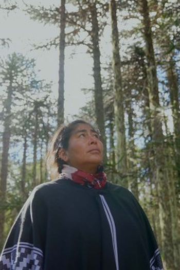 Poster de Episódio Forests (2022)