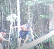 Popxop: Os Cantos do Macaco-Espírito