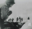 The Stumble to War
