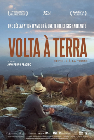 Poster 1 de Filme VOLTA À TERRA (2014)