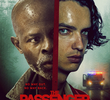 The Passenger