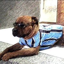 Foto de perfil de Cesar