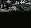 A Space to Grow