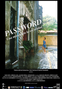 Password: una mirada en la oscuridad (Password: una mirada en la oscuridad)