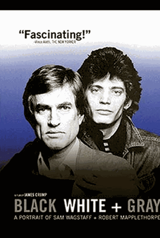 Poster 3 de Filme Preto, Branco e Cinza (2007)