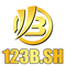 123b cfd