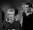 Aunt Bee's Invisible Beau