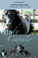 Vida de Cavalo (Vida de Cavalo)