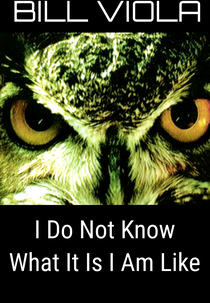 I Do Not Know What It Is I Am Like (I Do Not Know What It Is I Am Like)