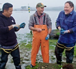 Hog Island