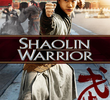 Guerreiro Shaolin