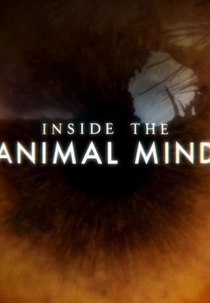 Dentro da Mente Animal (Inside the Animal Mind)