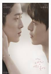 Where Your Eyes Linger (Movie) (너의 시선이 머무는 곳에)
