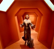 The Metamorph