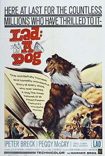 Lad: Um Cão Maravilhoso - Poster / Capa / Cartaz - Oficial 1