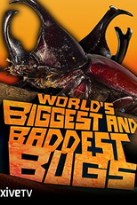 World's Biggest and Baddest Bugs (World's Biggest and Baddest Bugs)