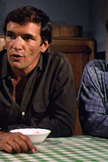 Poster de Episódio The Wedding (1976)