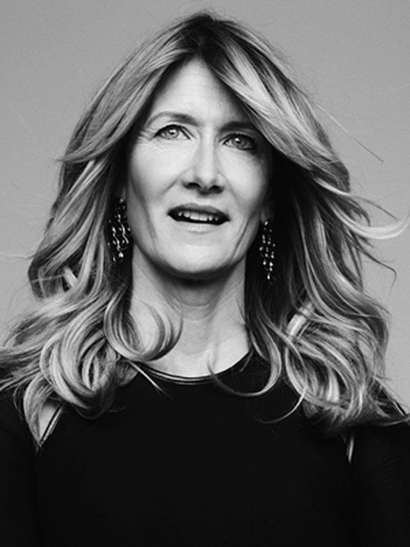 Laura Dern - Foto 8
