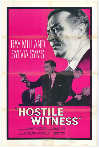 Poster 2 de Filme Testemunha Hostil (1968)