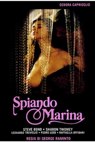 Poster 1 de Filme O Sorriso da Raposa (1992)