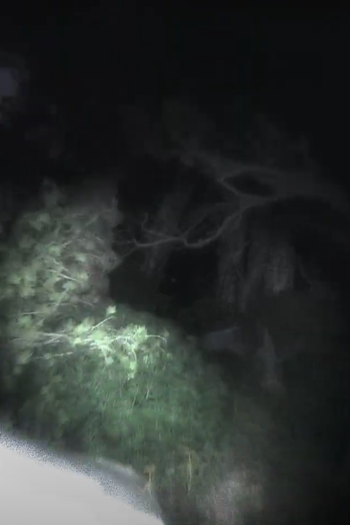 Poster de Curta Pablo Altar: Rushes (2022)