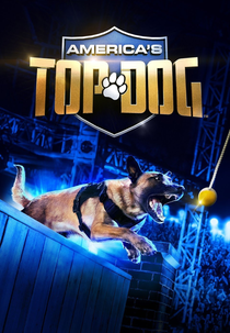 Os Melhores Cães Policiais (America's Top Dog)