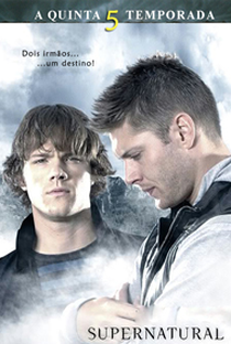 Sobrenatural (5ª Temporada) - Poster / Capa / Cartaz - Oficial 2
