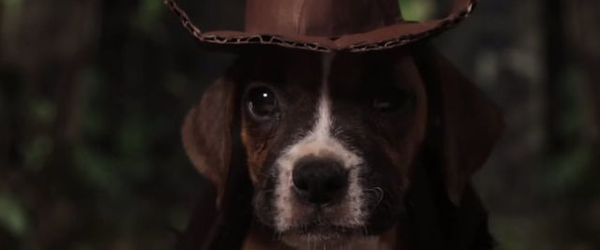 Indiana Jones: “Os Caçadores da Arca Perdida” ganha versão com cachorrinhos e gatinhos