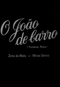 O João de Barro (O João de Barro)
