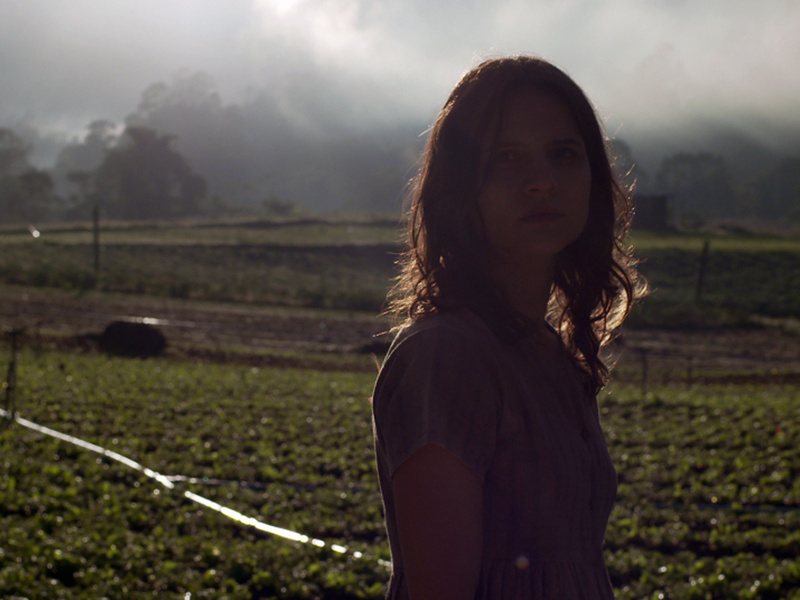 Foto 1 de Singelos Envelopes