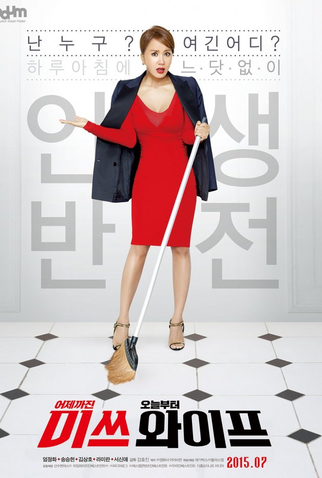 Poster 4 de Filme Wonderful Nightmare (2015)