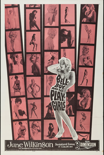 The Bellboy and the Playgirls - Poster / Capa / Cartaz - Oficial 2