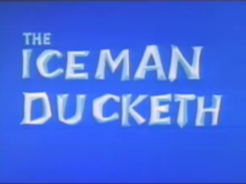 Foto 1 de Pato Congelado